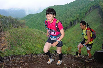 hase71k2012_1169