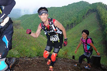 hase71k2012_1179