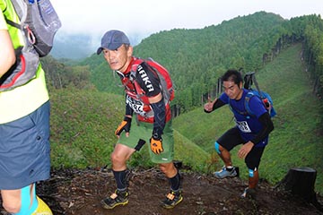 hase71k2012_1185
