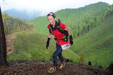 hase71k2012_1333