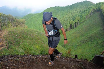 hase71k2012_1337