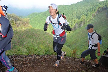 hase71k2012_1402