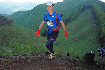 hase71k2012_1998