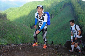 hase71k2012_2073