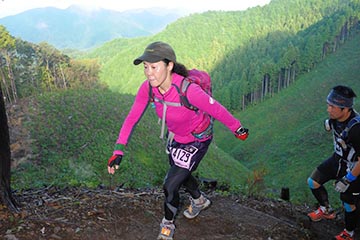 hase71k2012_2077