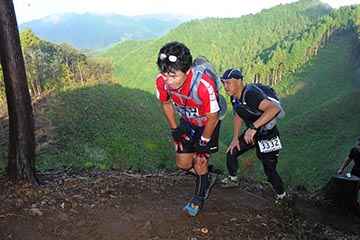 hase71k2012_2082