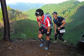 hase71k2012_2083
