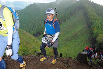 hase71k2012_2677