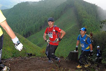 hase71k2012_2693
