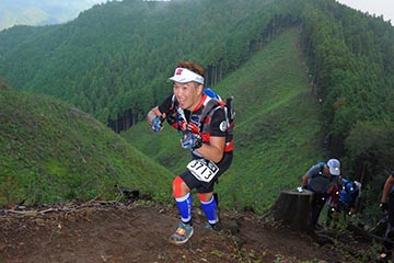hase71k2012_2737