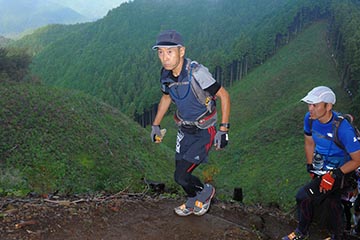 hase71k2012_2784