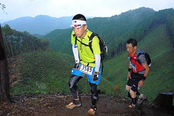 hase71k2012_2915