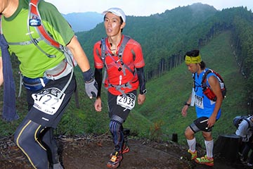 hase71k2012_2946