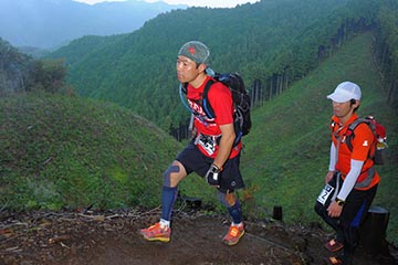 hase71k2012_2993