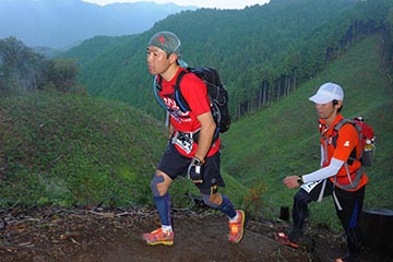 hase71k2012_2994