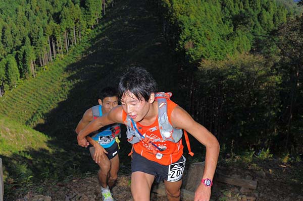 hase71k2013_0002