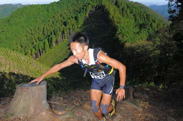 hase71k2013_0011