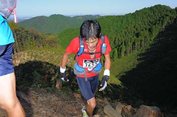 hase71k2013_0049
