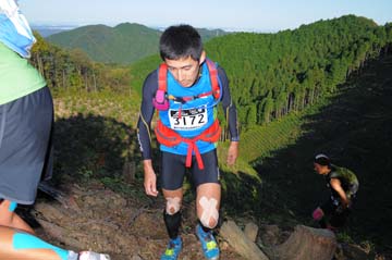 hase71k2013_0151