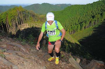 hase71k2013_0183