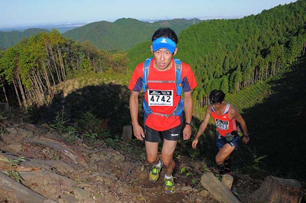 hase71k2013_0397