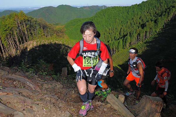 hase71k2013_0408