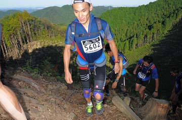 hase71k2013_0281