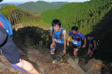 hase71k2013_0282