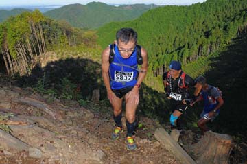 hase71k2013_0287
