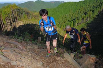 hase71k2013_0293