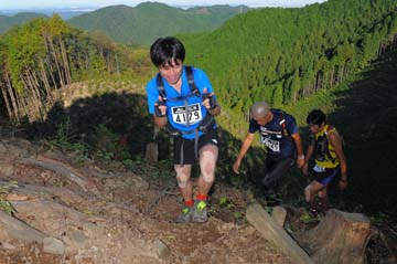 hase71k2013_0294