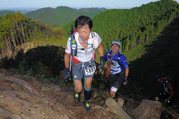 hase71k2013_0379