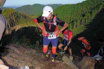hase71k2013_0415