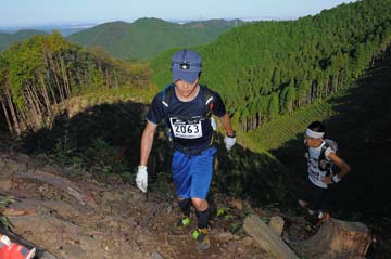 hase71k2013_0427