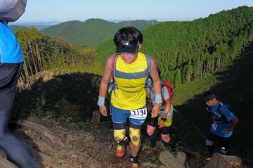 hase71k2013_0501