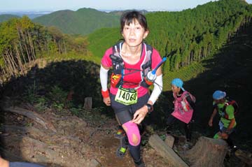 hase71k2013_0566