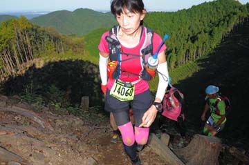hase71k2013_0567