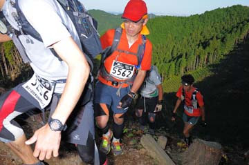 hase71k2013_0715