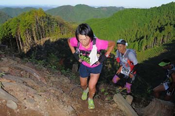 hase71k2013_0725
