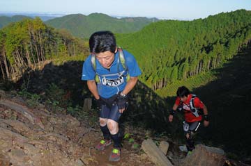 hase71k2013_0761