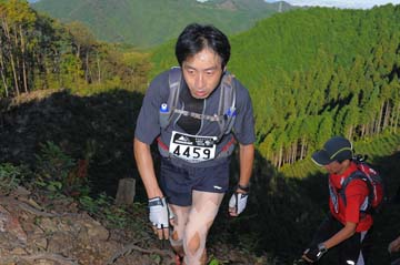 hase71k2013_0964