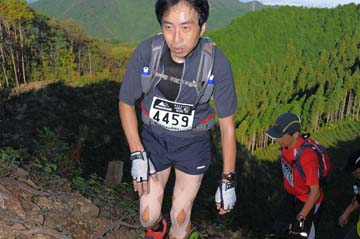 hase71k2013_0965