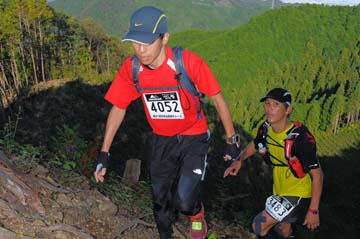 hase71k2013_0966