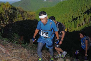 hase71k2013_1287