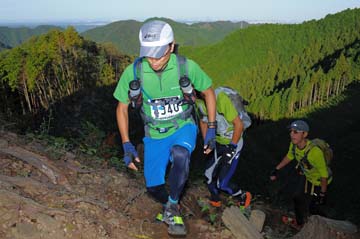 hase71k2013_1451