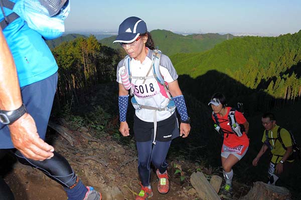 hase71k2013_2046