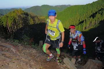 hase71k2013_1487