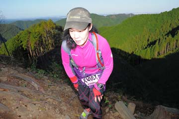 hase71k2013_1535