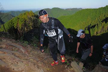 hase71k2013_1552