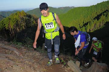 hase71k2013_1614